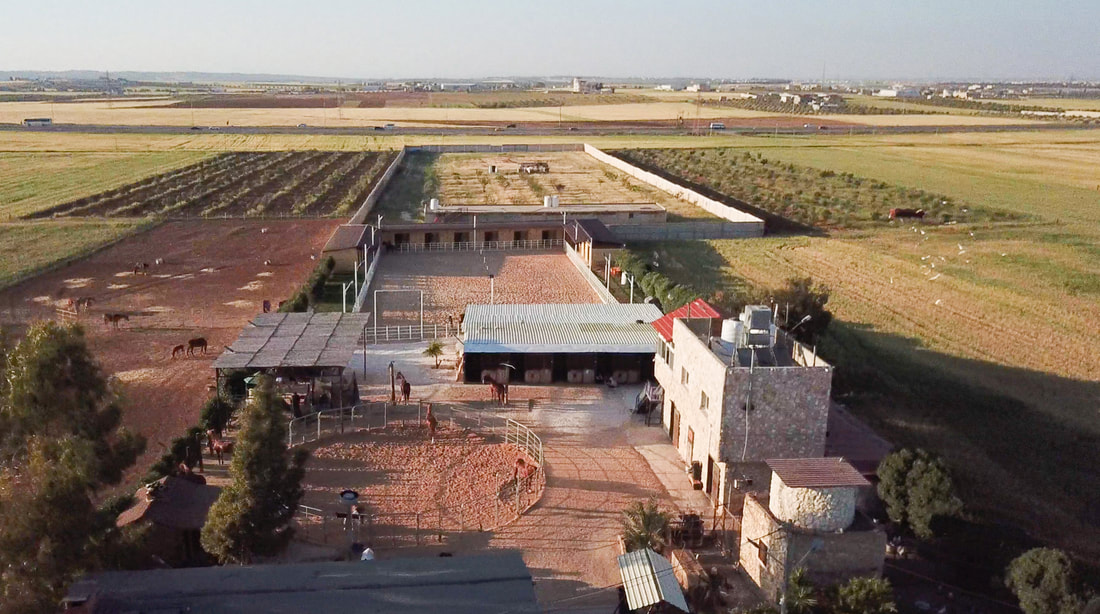 The U-shaped stable and arenas from the air